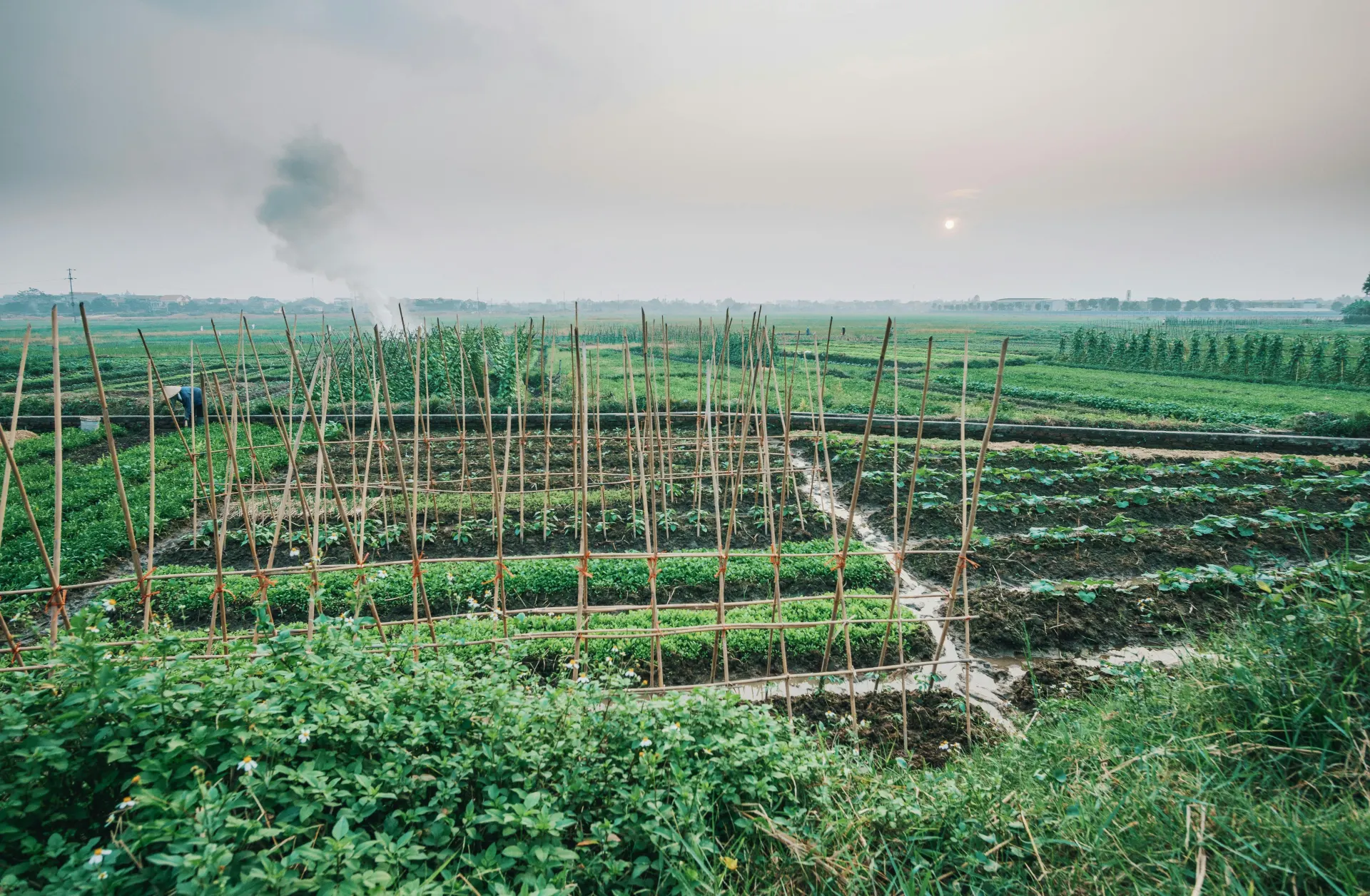 Seguro Agrícola